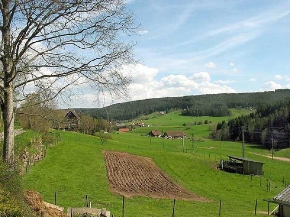 Land view from property