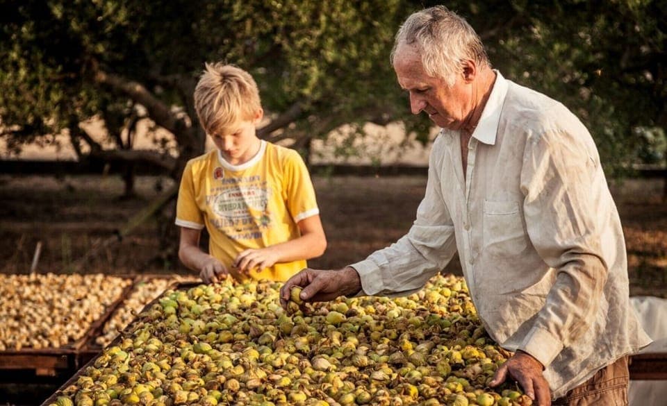 the 4th generation of Figs manufactory