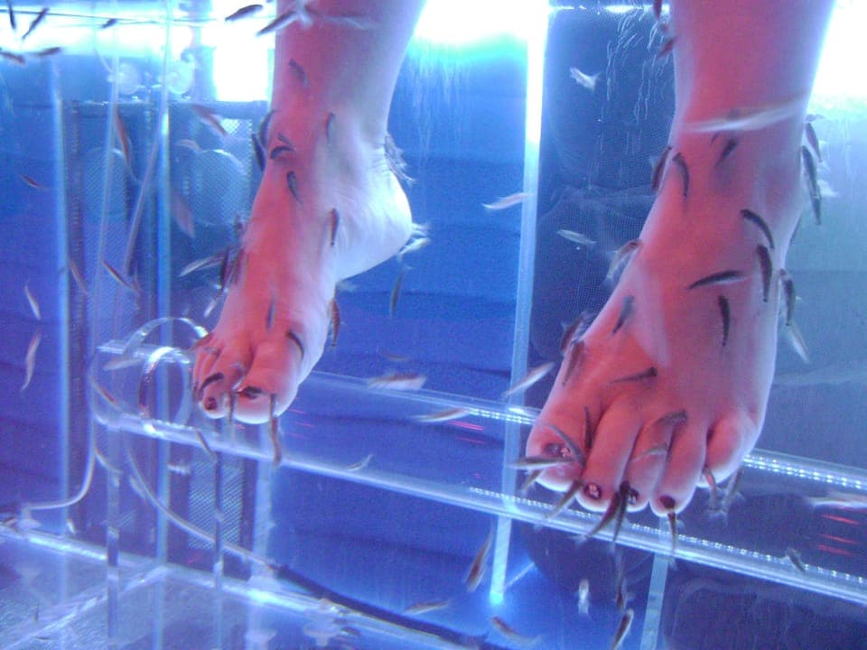 Sauna, hot tub, steam room, body treatments, body wraps, body scrubs