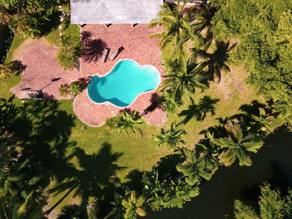 The heated pool is surrounded by palm trees and paradise. 
