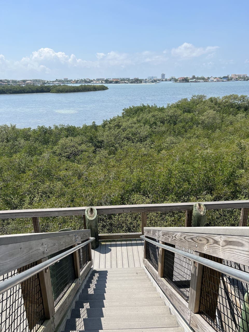 View from property