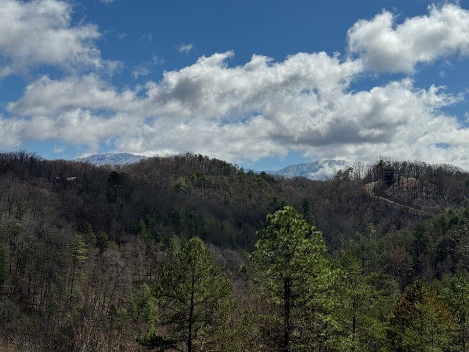 View on a Spring morning