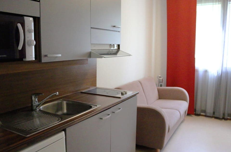 Family Apartment | Private kitchen | Fridge, microwave, stovetop, coffee/tea maker