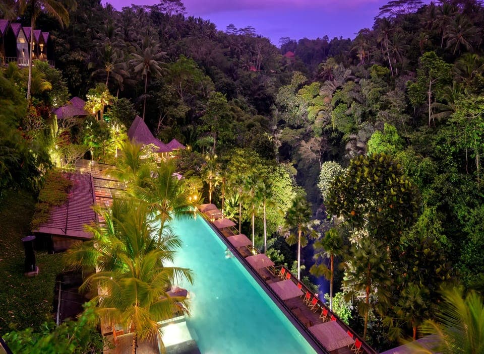 Outdoor pool, open 8:00 AM to 8:00 PM, free cabanas, pool umbrellas