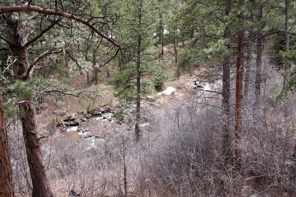 River View from Deck