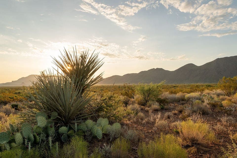 the beautiful desert