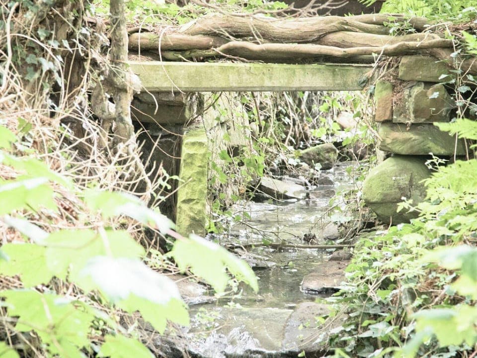 Natural garden space | The Brewers Cottage - Roddenloft, Mauchline