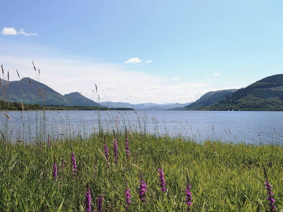 Bassenthwaite | Cumbria, England