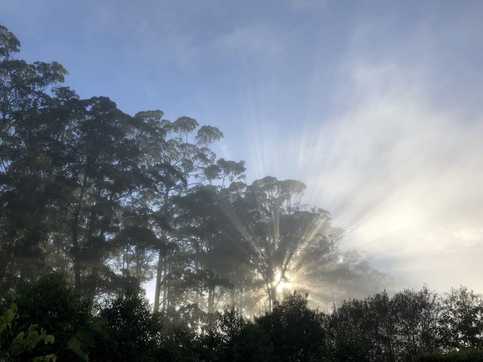 The Owner's Cottage | View from room