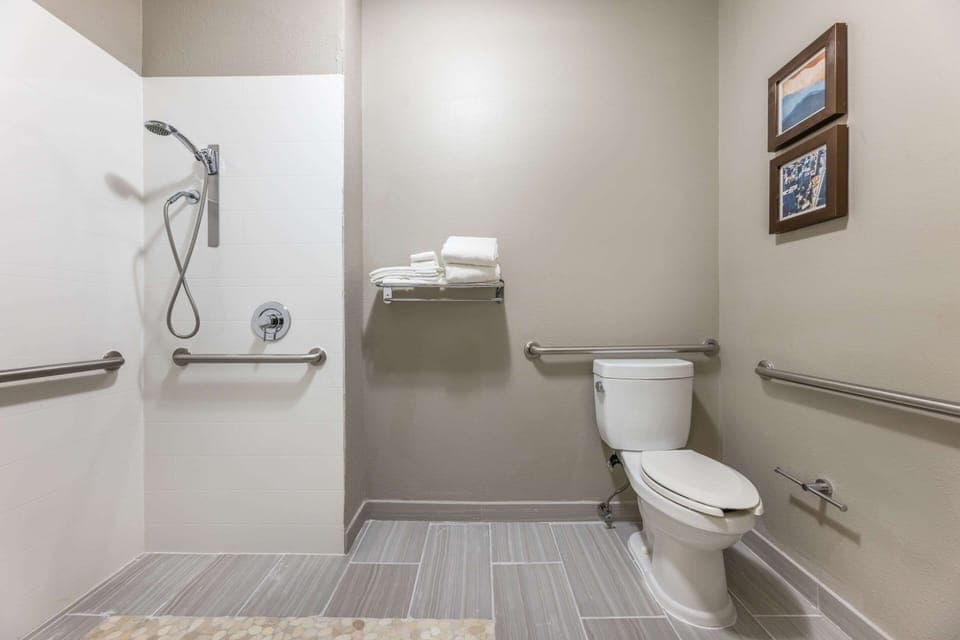 Combined shower/tub, free toiletries, hair dryer, towels