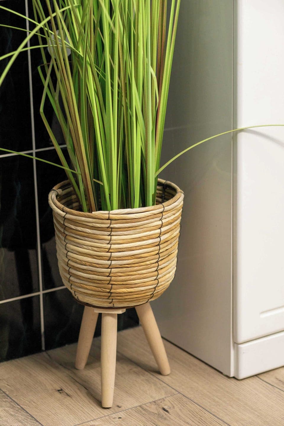  A potted plant in a woven basket.
