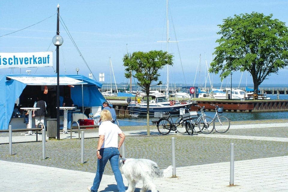 Surroundings [summer] (1-5 km)