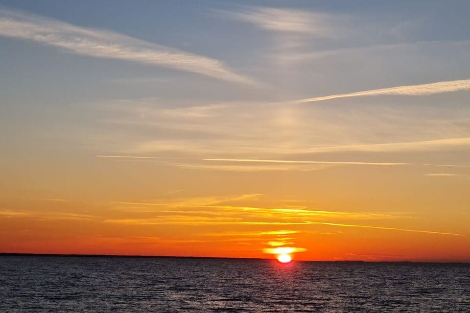 Immediate Surroundings [summer] (<1 km)