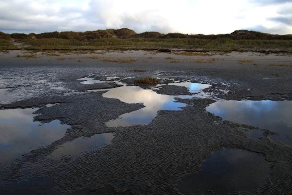 Surroundings [summer] (1-5 km)