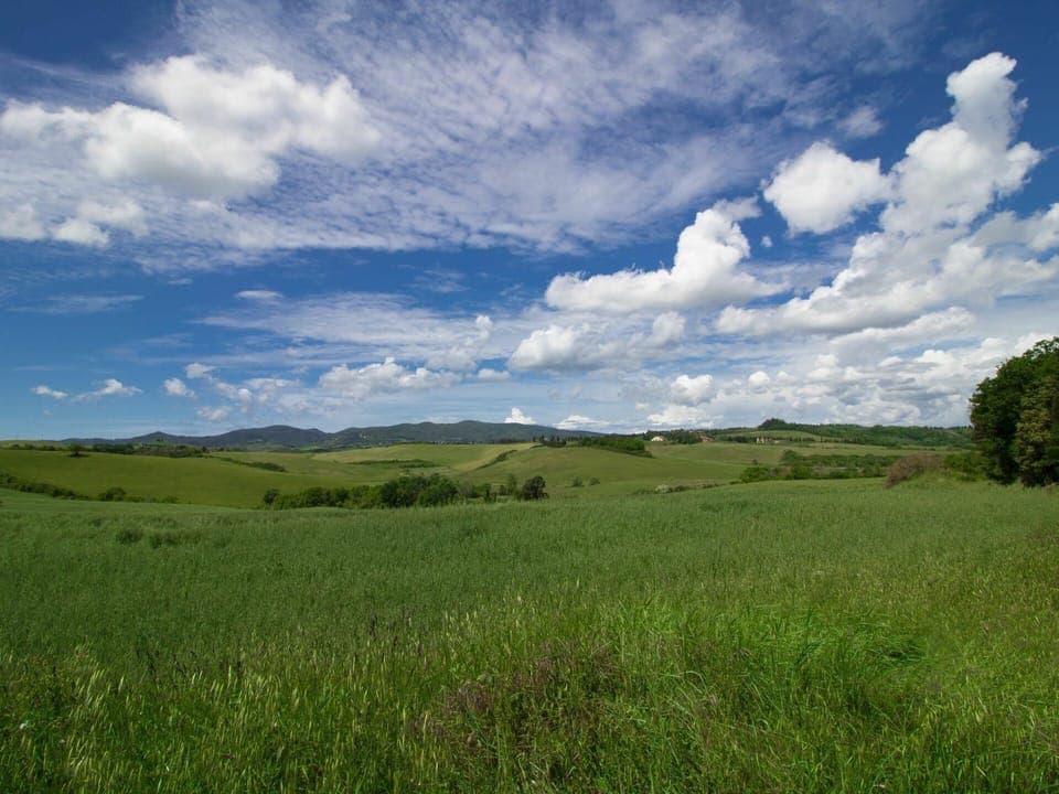 Cloud, Sky, Plant, Green, Natural Landscape, Cumulus, Tree, Agriculture, Grassland, Landscape