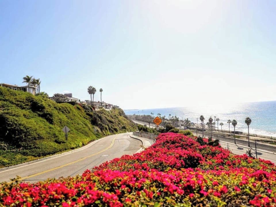 View along the walk to the ocean. Permit #str14-0085