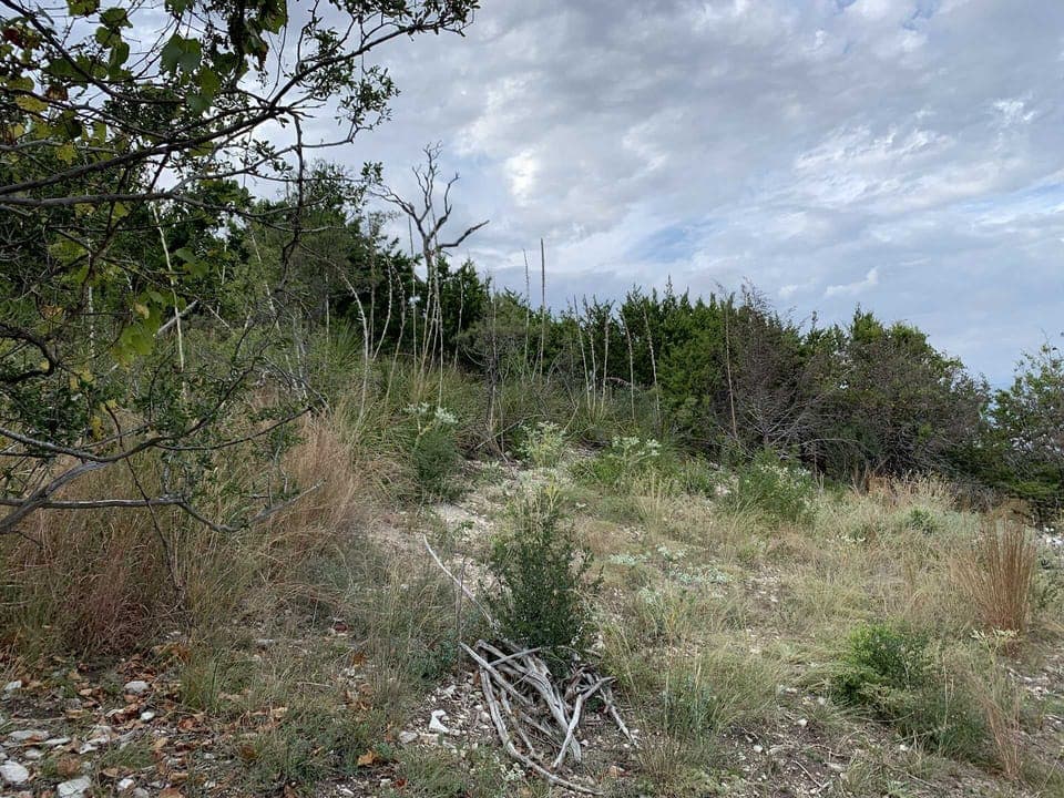 Just ten miles from all this Hill Country glory are Kerrville's shops and night life, as well as tubing on the Guadalupe River!