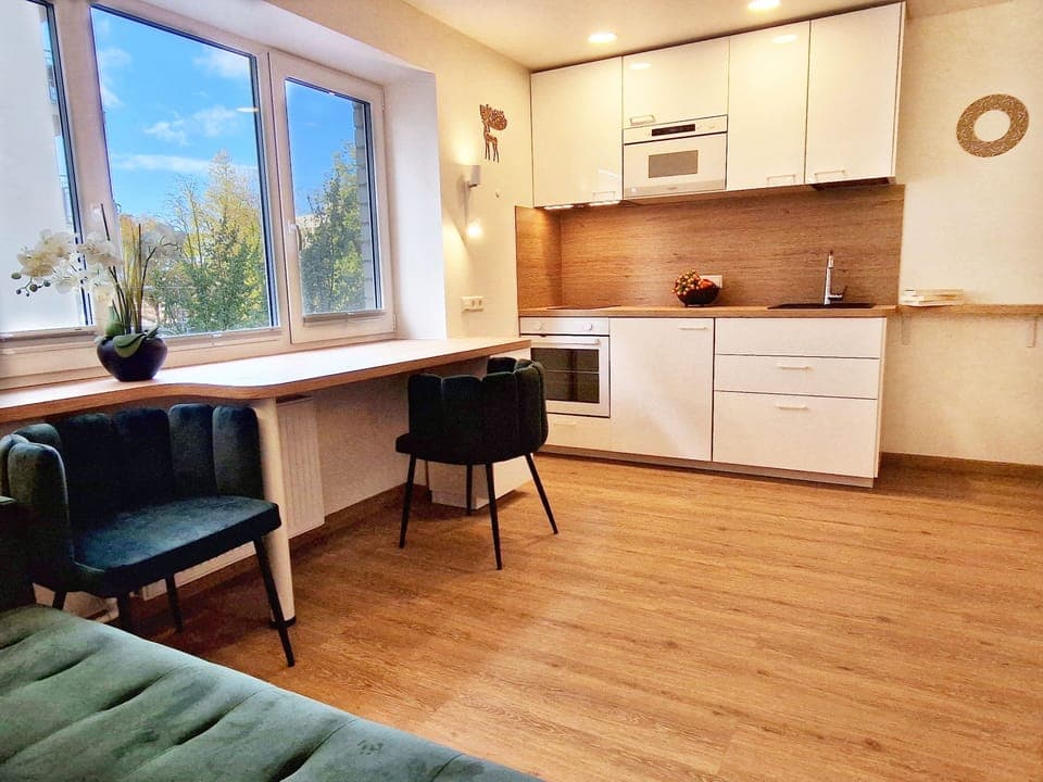 Superior New Studio | Private kitchen | Fridge, microwave, electric kettle, highchair