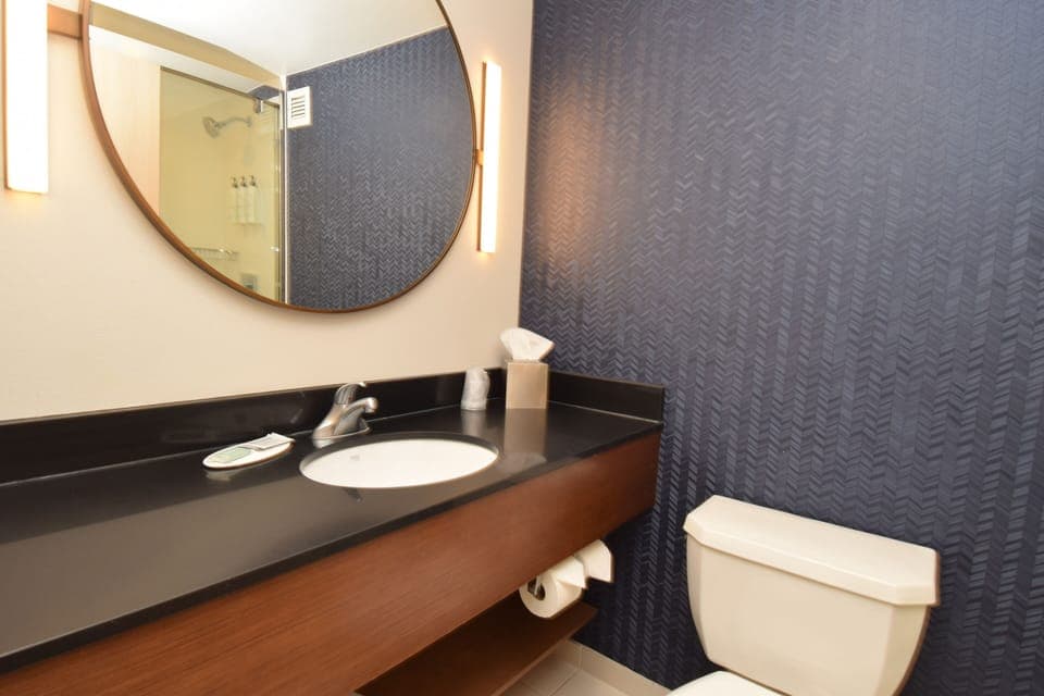 Bathroom sink