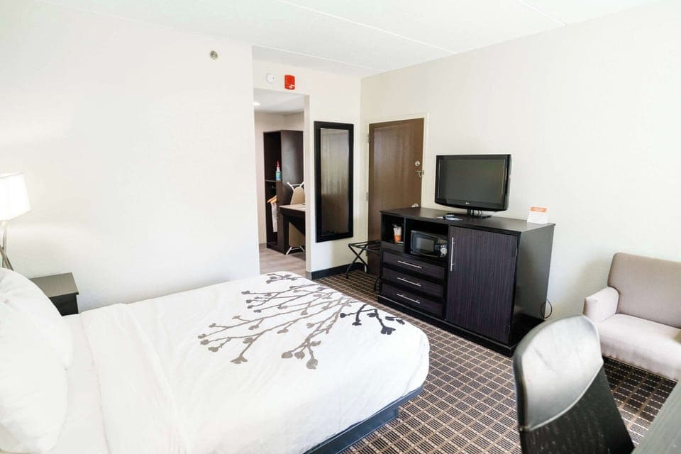 Room, 1 Queen Bed, Accessible, Non Smoking | Desk, blackout drapes, iron/ironing board, free cribs/infant beds