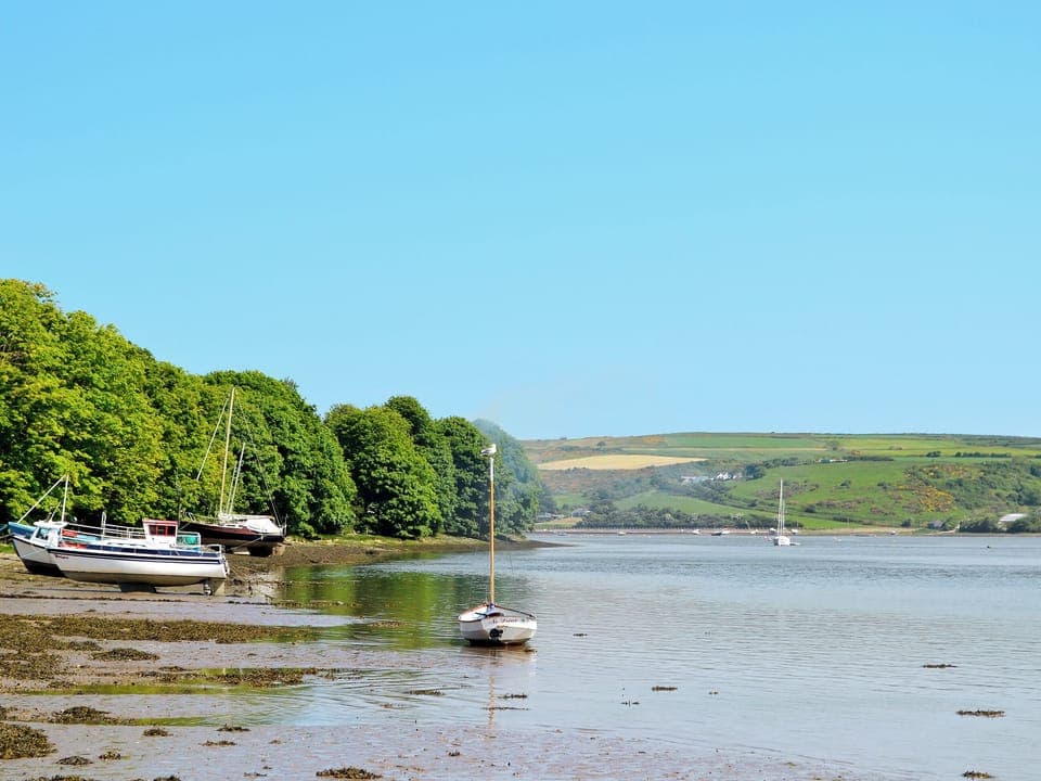 River Teifi | Pembrokeshire, Wales