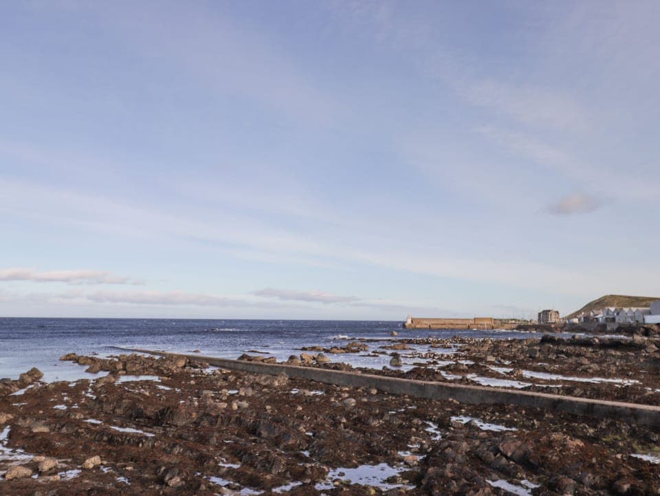 Cottage | Miscellaneous