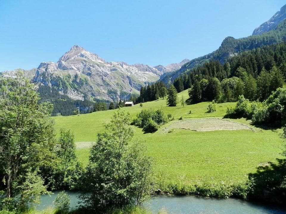 Plant, Sky, Water, Mountain, Ecoregion, Natural Landscape, Natural Environment, Larch, Vegetation, Tree