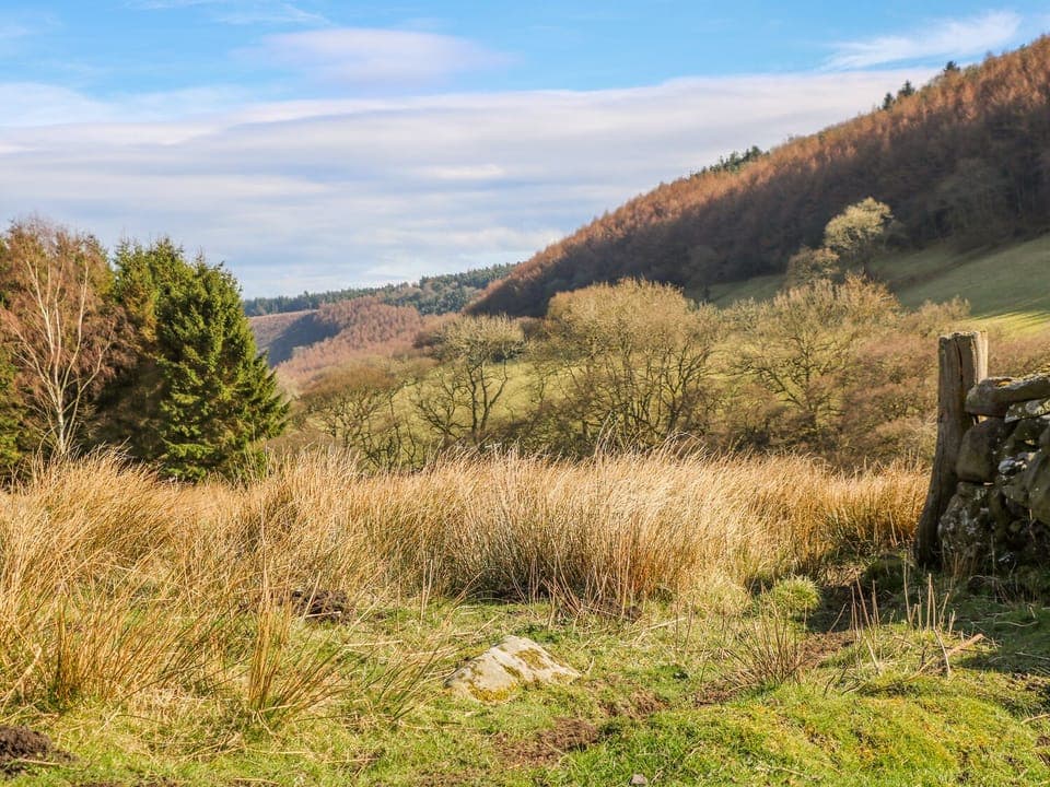 Cottage | Property grounds