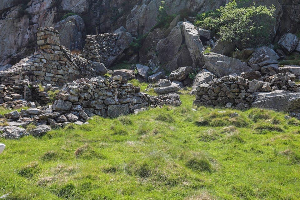 Cottage | Miscellaneous