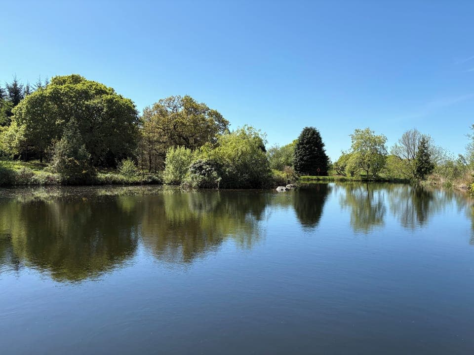 Cottage | Miscellaneous