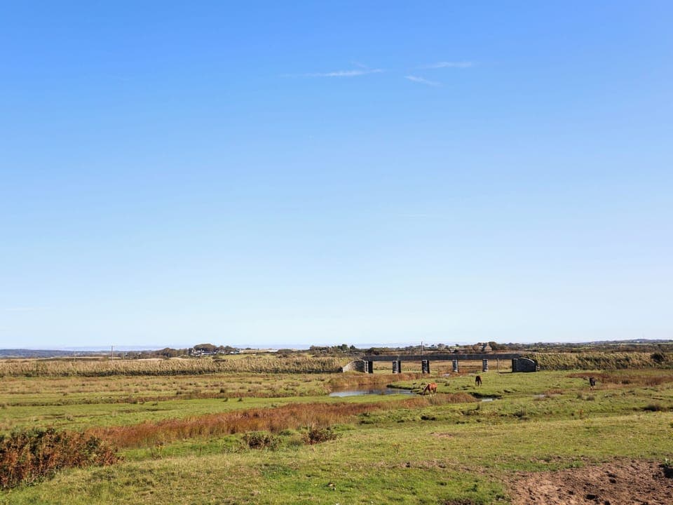 Cottage | Miscellaneous