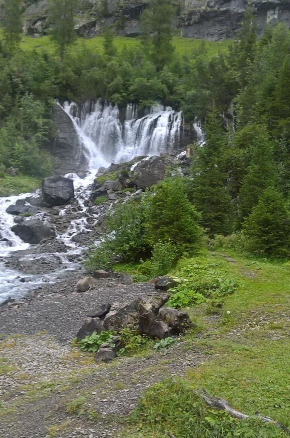 Water, Plant, Water Resources, Natural Environment, Natural Landscape, Tree, Waterfall, Chute, Bank