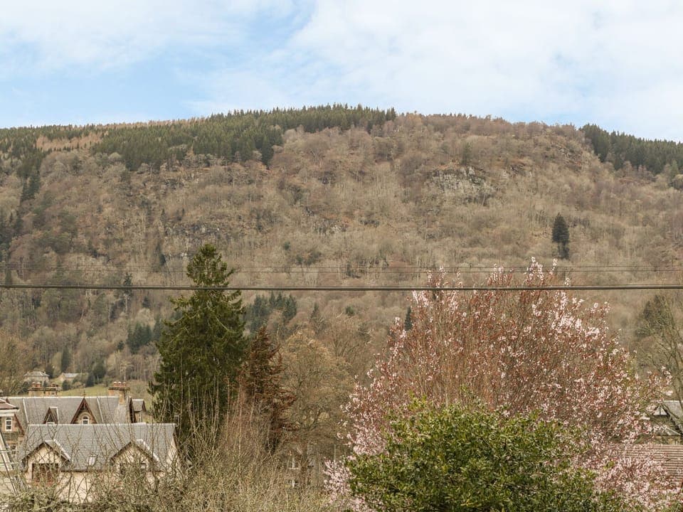 Cottage | Property grounds