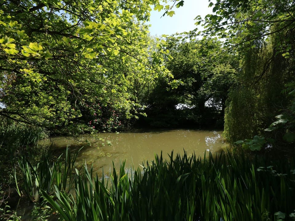 Cottage | Property grounds