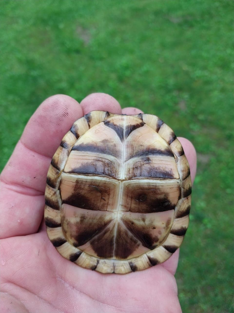 We have all kinds of neat animals! 