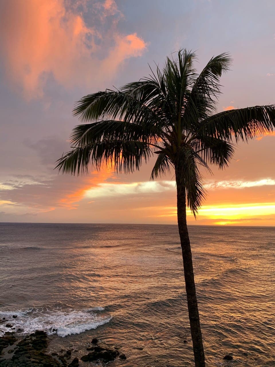 Sunset from the living room.