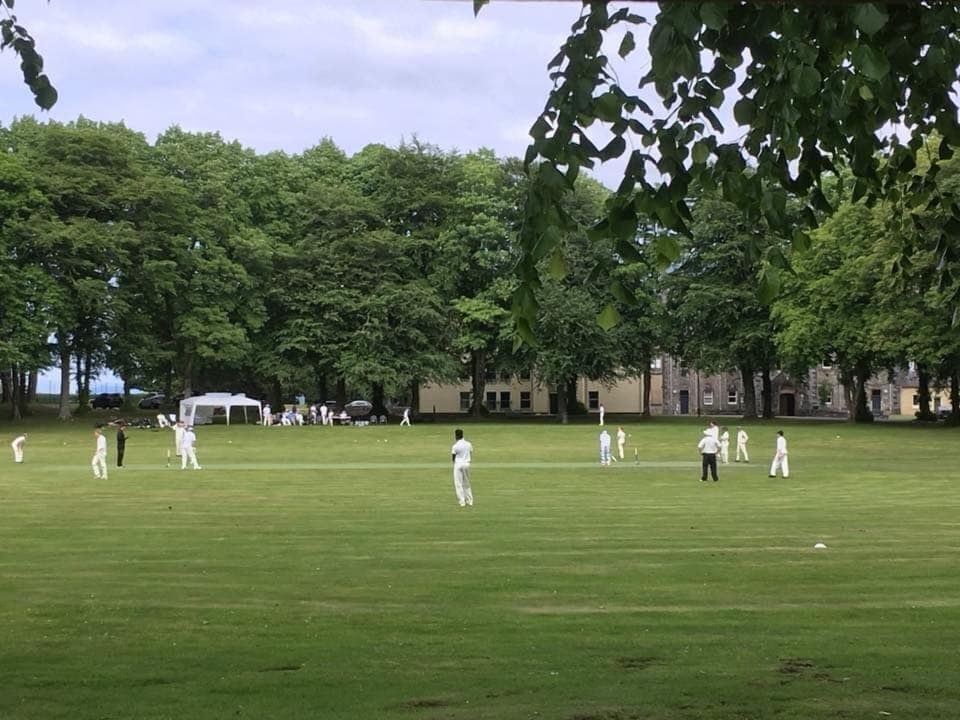 Cricket in the grounds