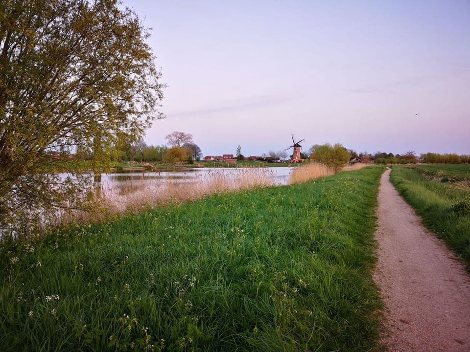 Sky, Plant, Water, Natural Landscape, Tree, Body Of Water, Grass, Rural Area, Plain, Grassland