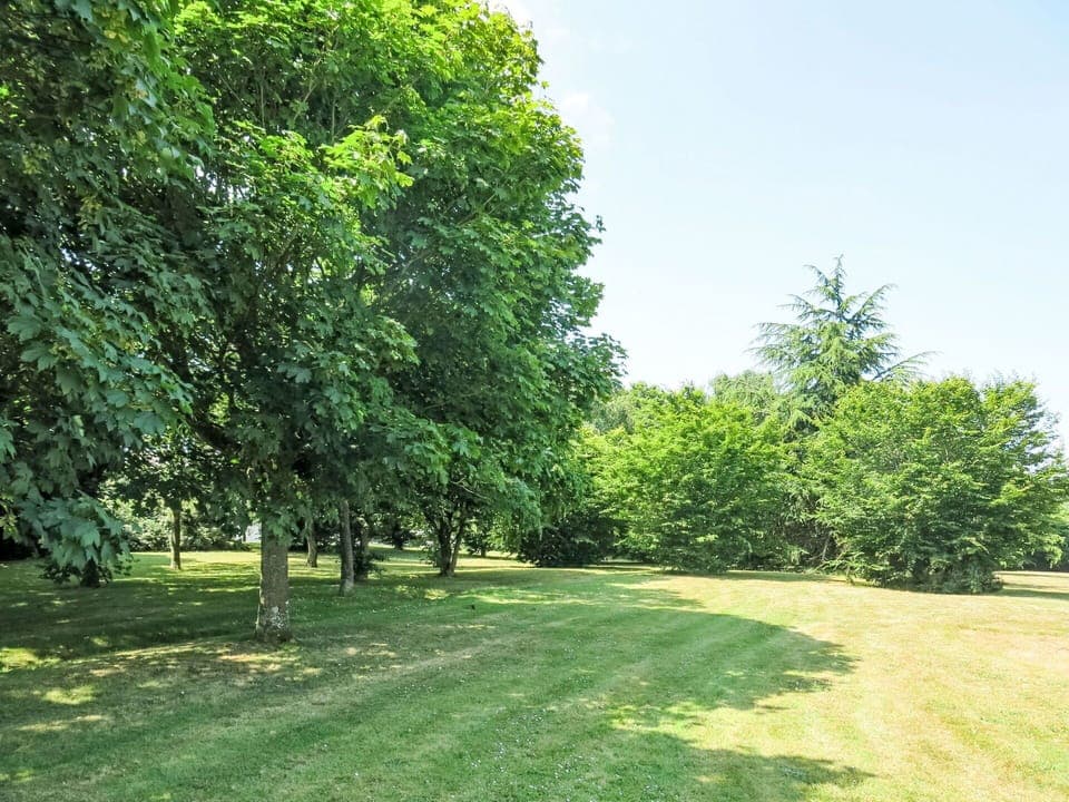 Plant, Sky, Tree, Natural Landscape, Shade, Land Lot, Grass, Shrub, Grassland, Landscape