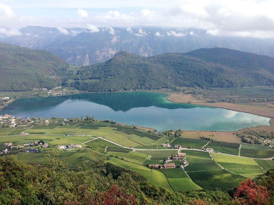 Wood, Lighting, Interior Design, Flooring, Floor, Living Room, Real Estate, Hardwood, Table, Beam