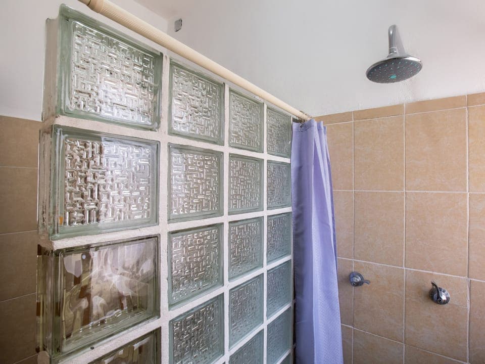 Standard Room, Multiple Beds | Bathroom | Shower, towels, soap, shampoo