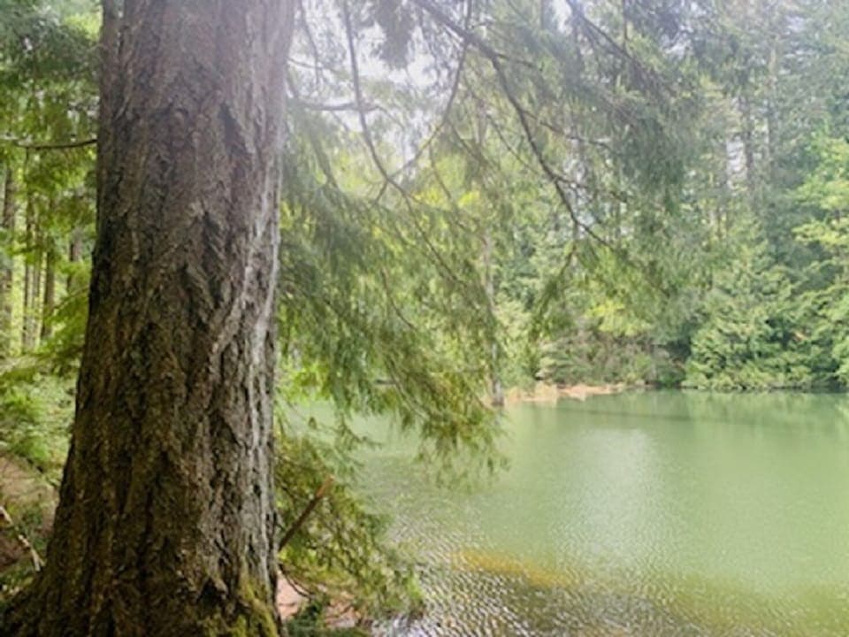 Colliery Dam Park