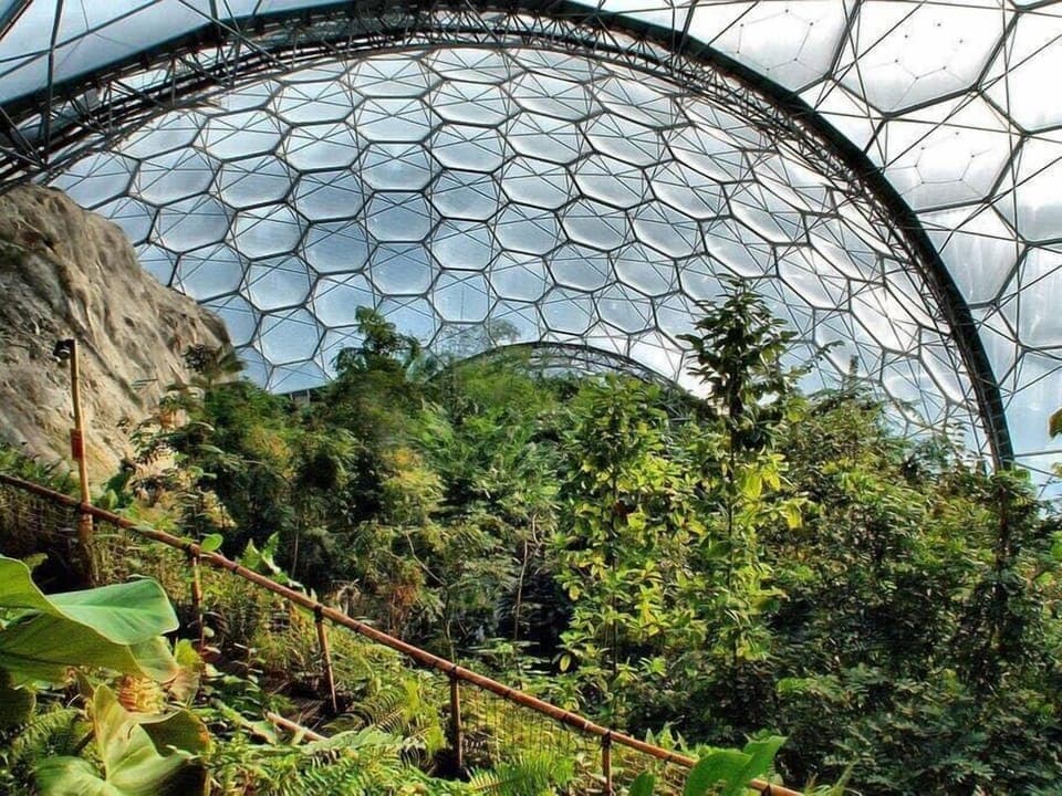 Inside one of the biomes at The Eden Project. 