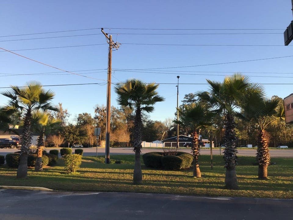 Standard Single Room, 1 King Bed | Garden view