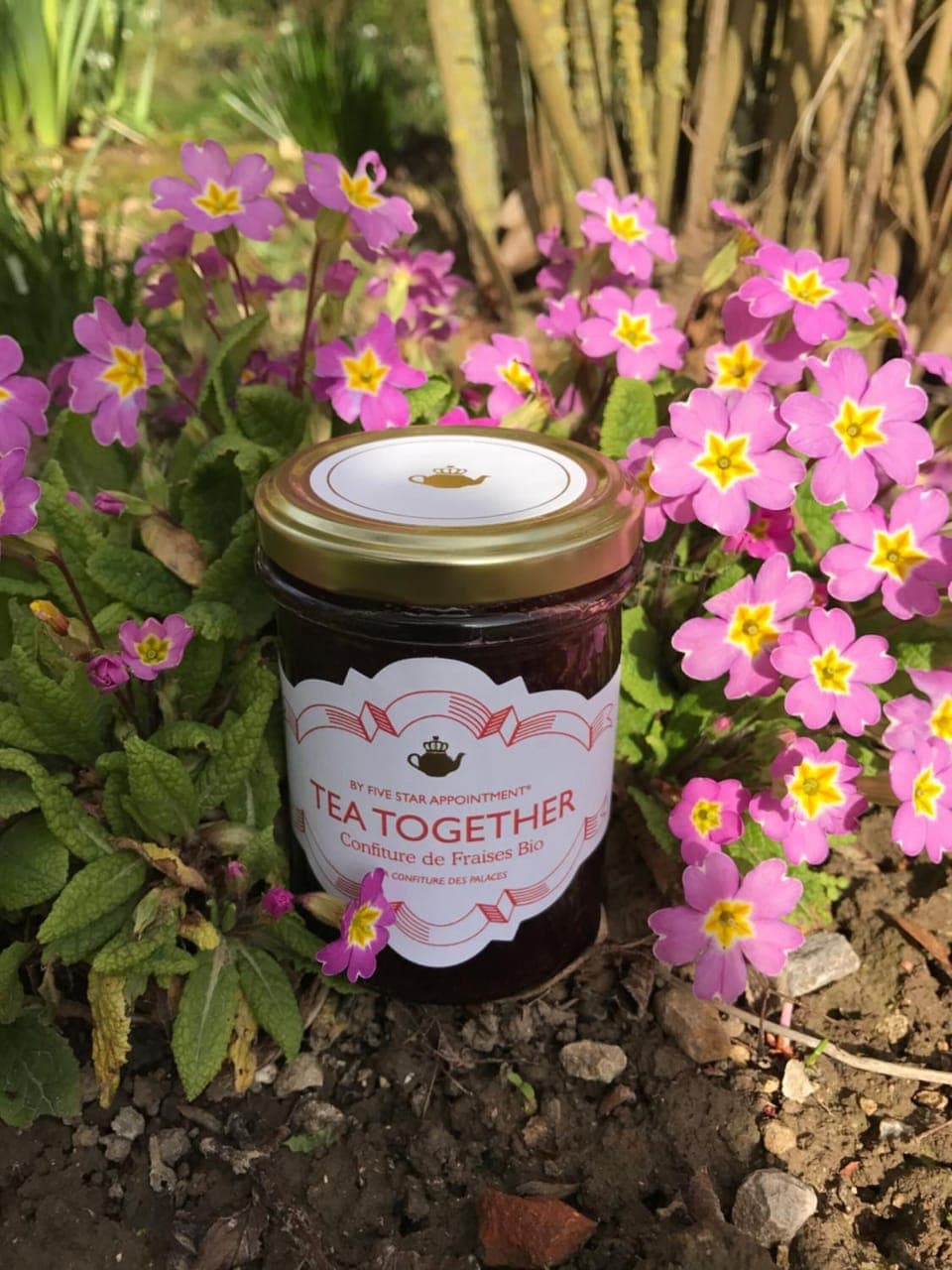 Continental breakfast on weekends (EUR 10 per person)