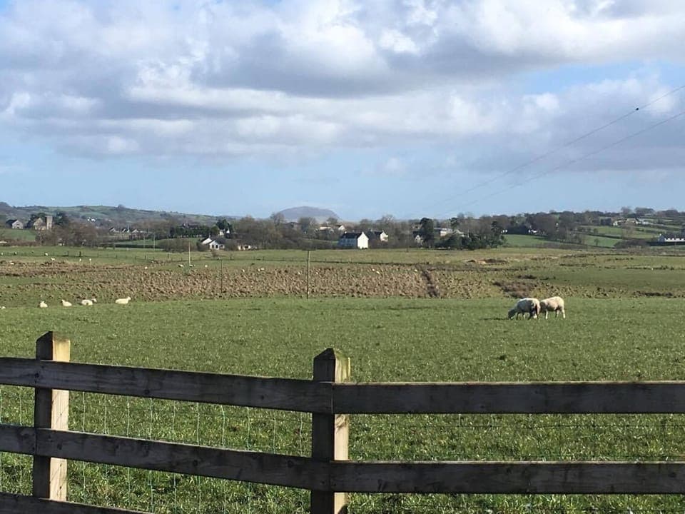 Slemish Mountain in the distance 