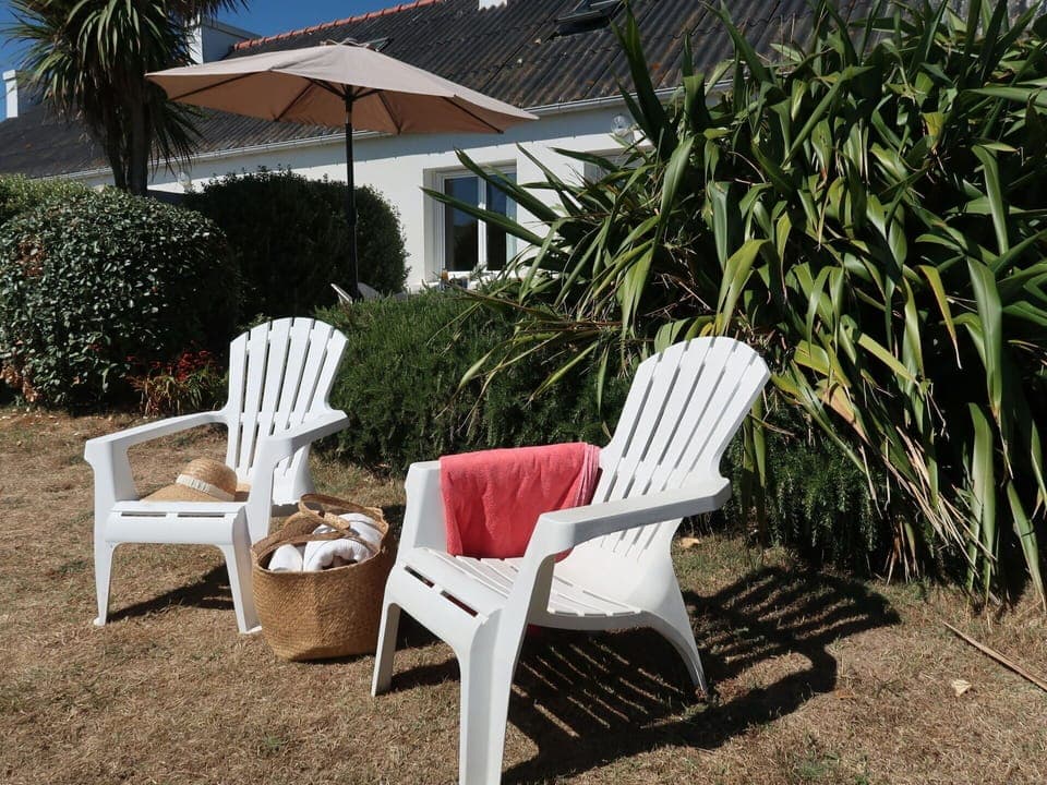 Plant, Furniture, Property, Chair, Botany, Outdoor Furniture, Comfort, Armrest, Shade, Leisure