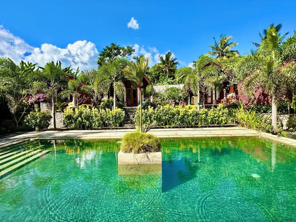 Outdoor pool, pool umbrellas, sun loungers