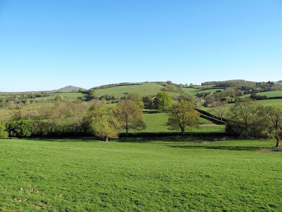 Furniture, Cabinetry, Property, Table, Tableware, Interior Design, Dishware, Wood, Countertop, Drawer