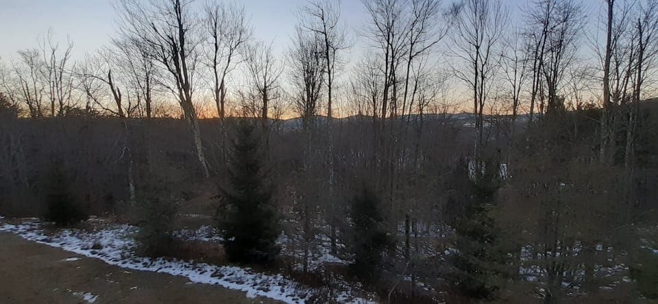 View from deck
